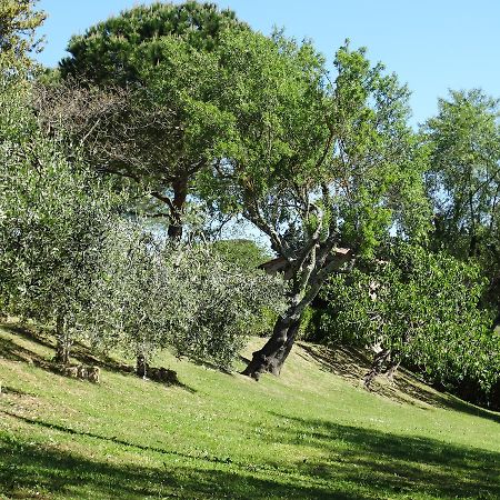 Bed and Breakfast Santa Maria Della Pace Montespertoli Exterior foto