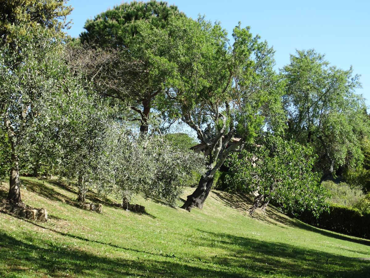 Bed and Breakfast Santa Maria Della Pace Montespertoli Exterior foto